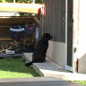 Meet your Posher, Bill